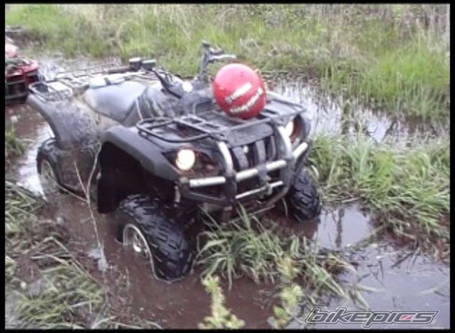 Photo 1287787