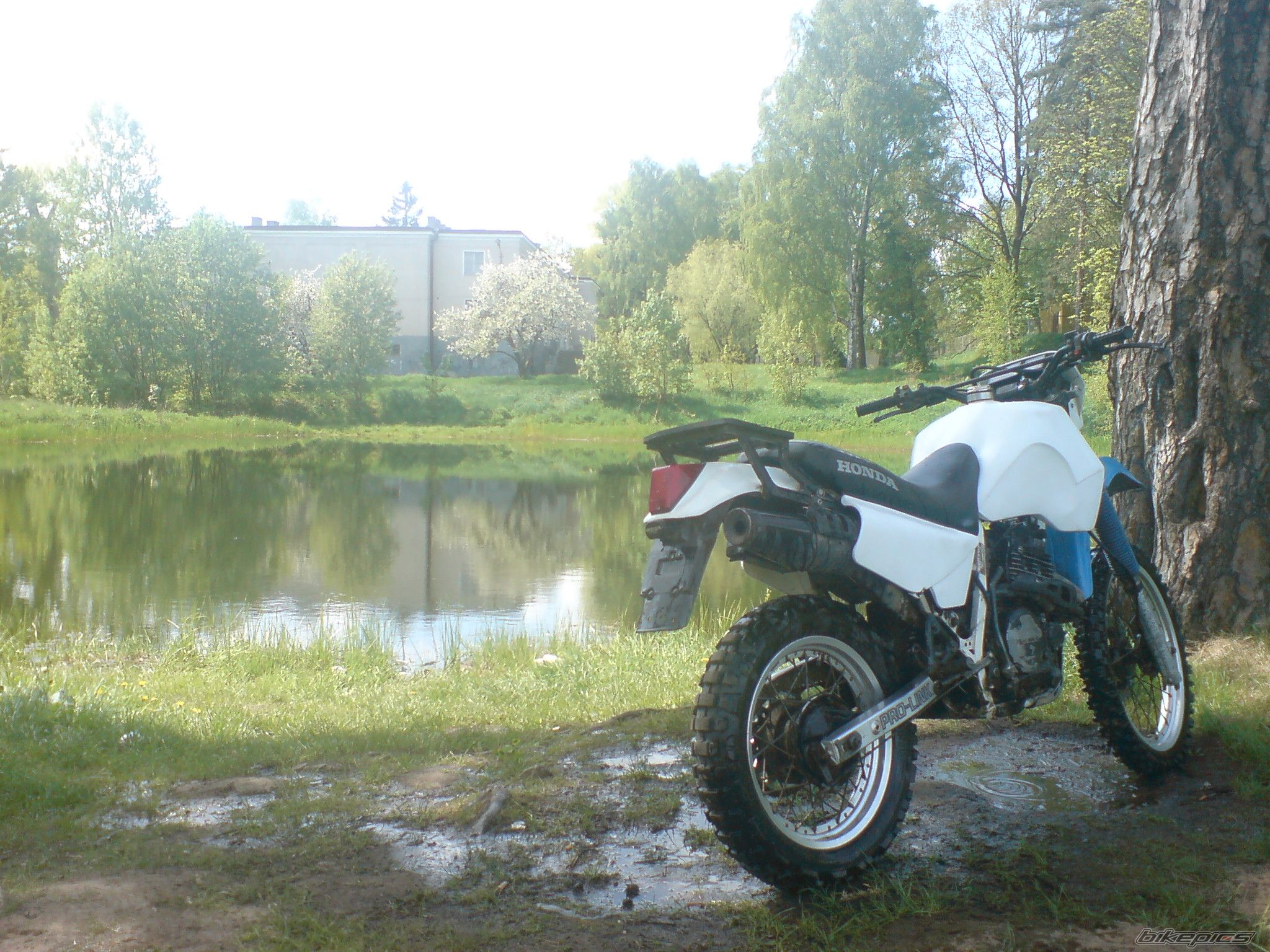 Photo 1287816