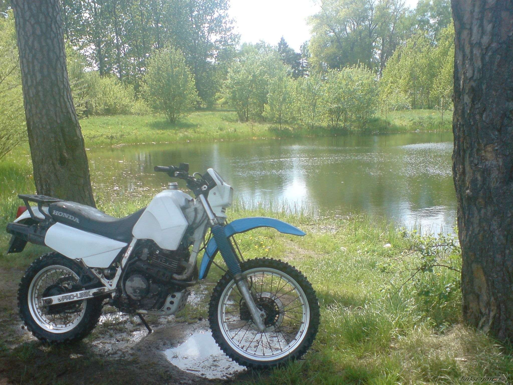 Photo 1287819