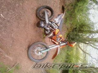Photo 1287877