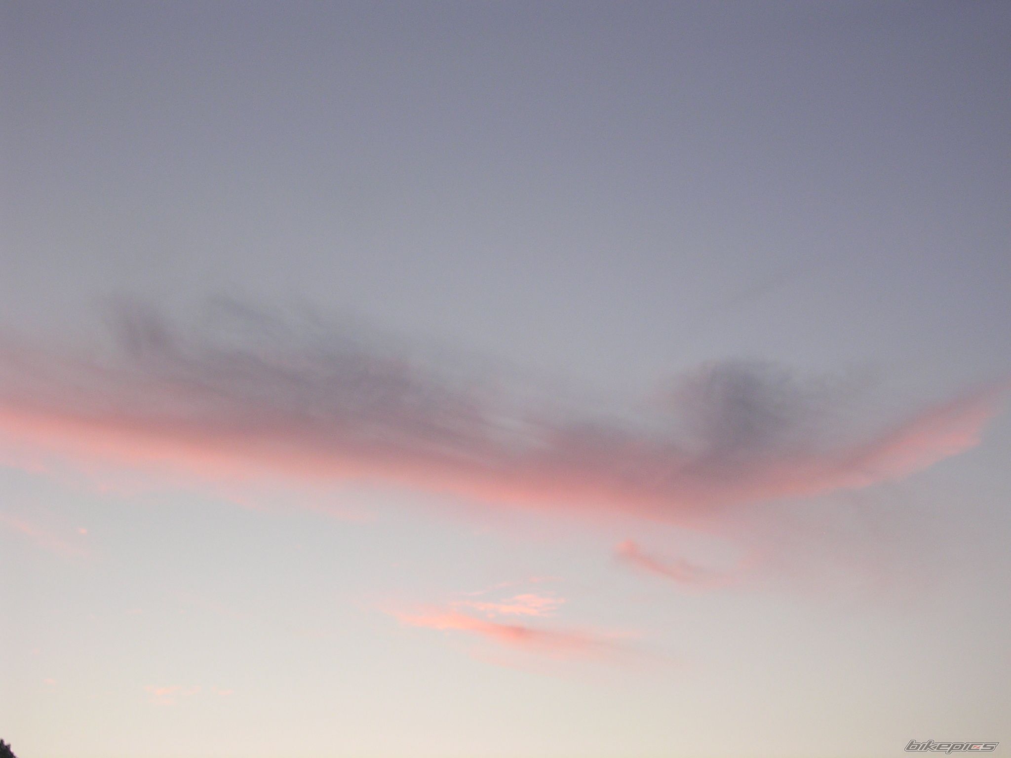 Photo 1287889