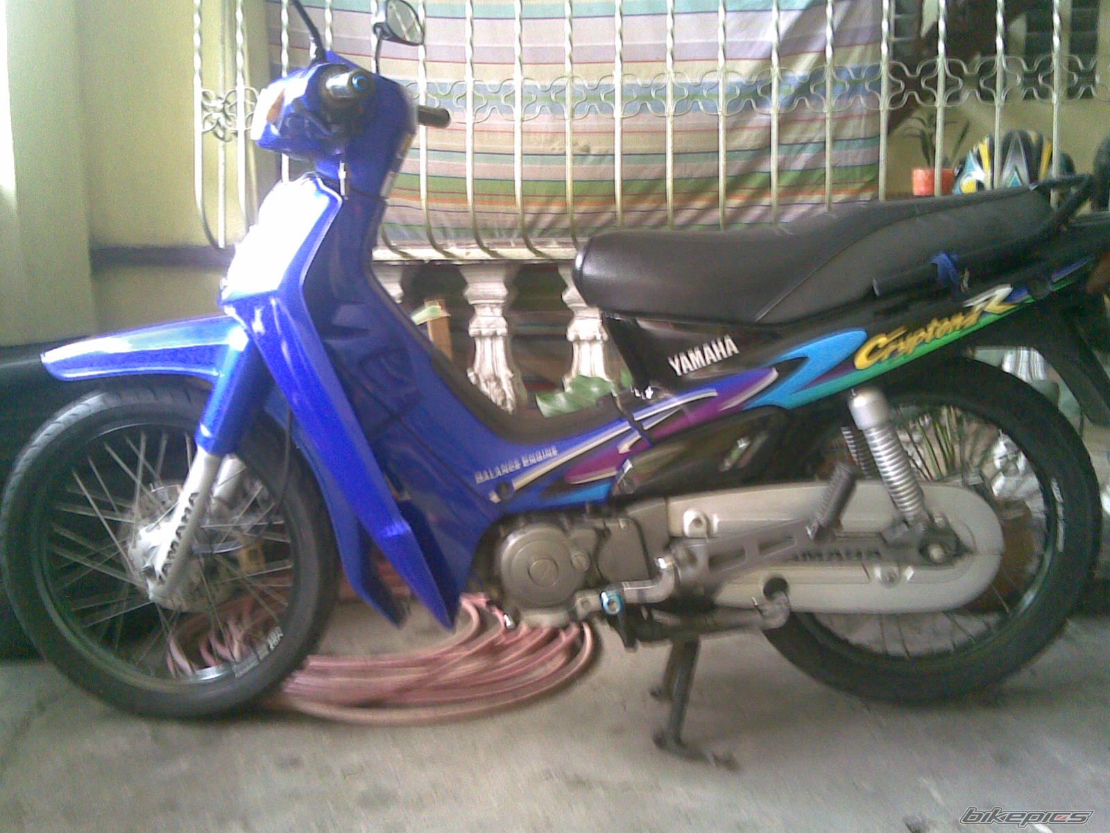 Photo 1287939