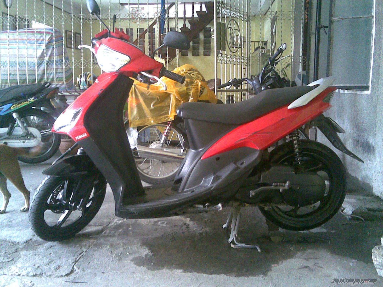 Bike Photo 1287957