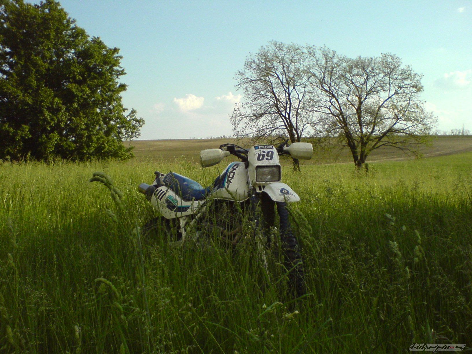 Photo 1288124
