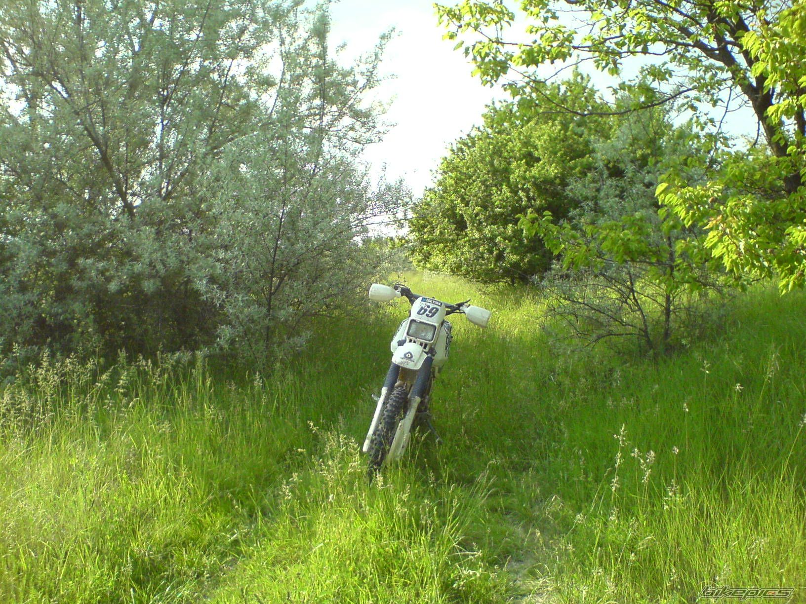 Photo 1288126