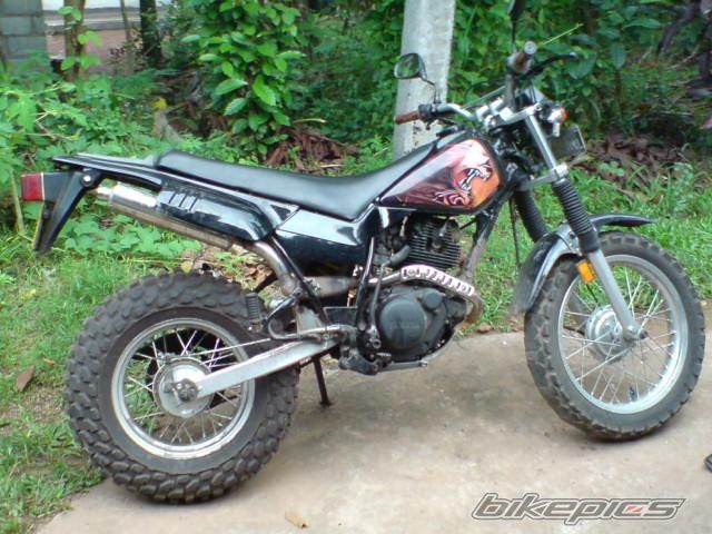 Photo 1288173