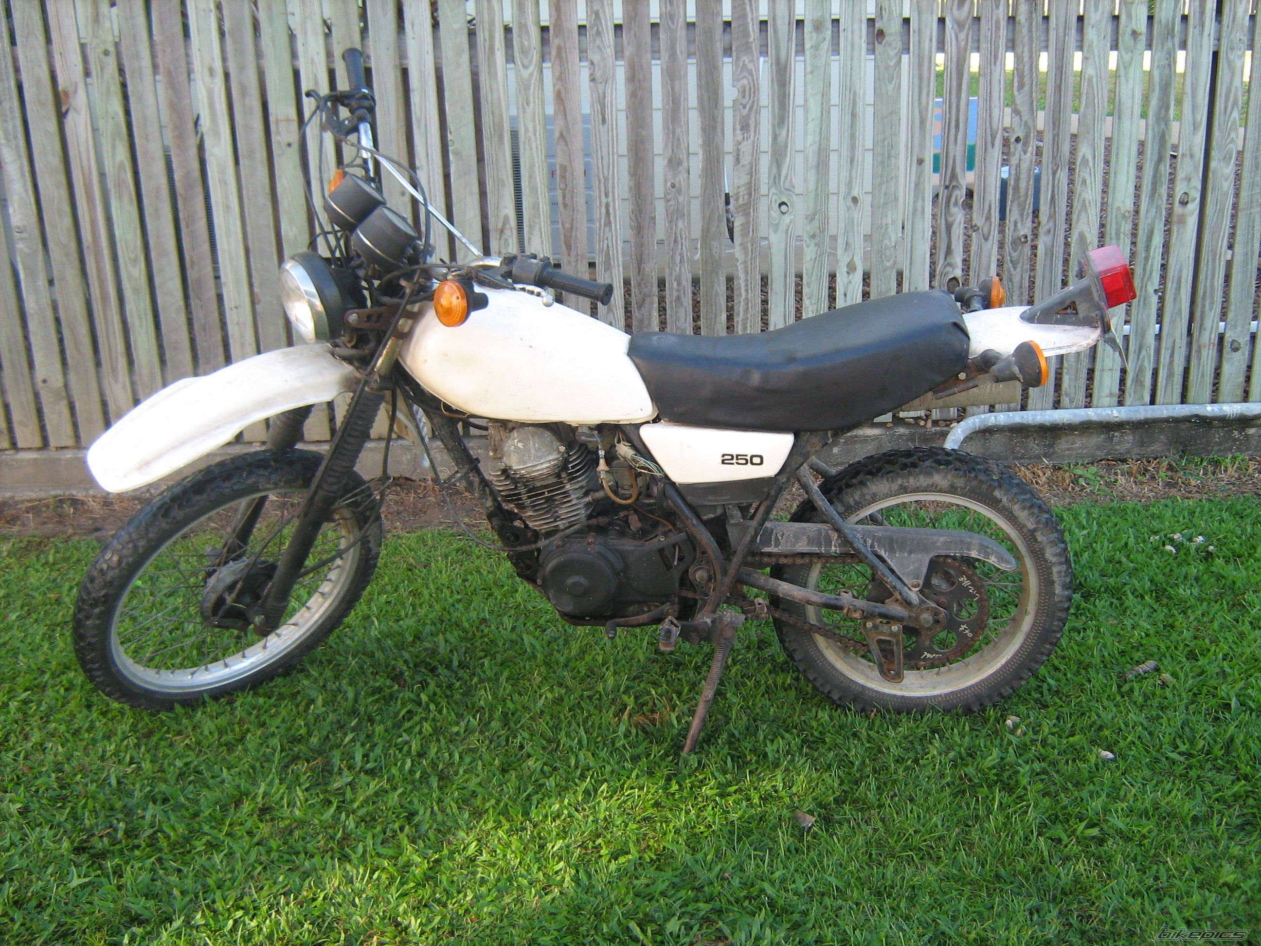 Photo 1288202
