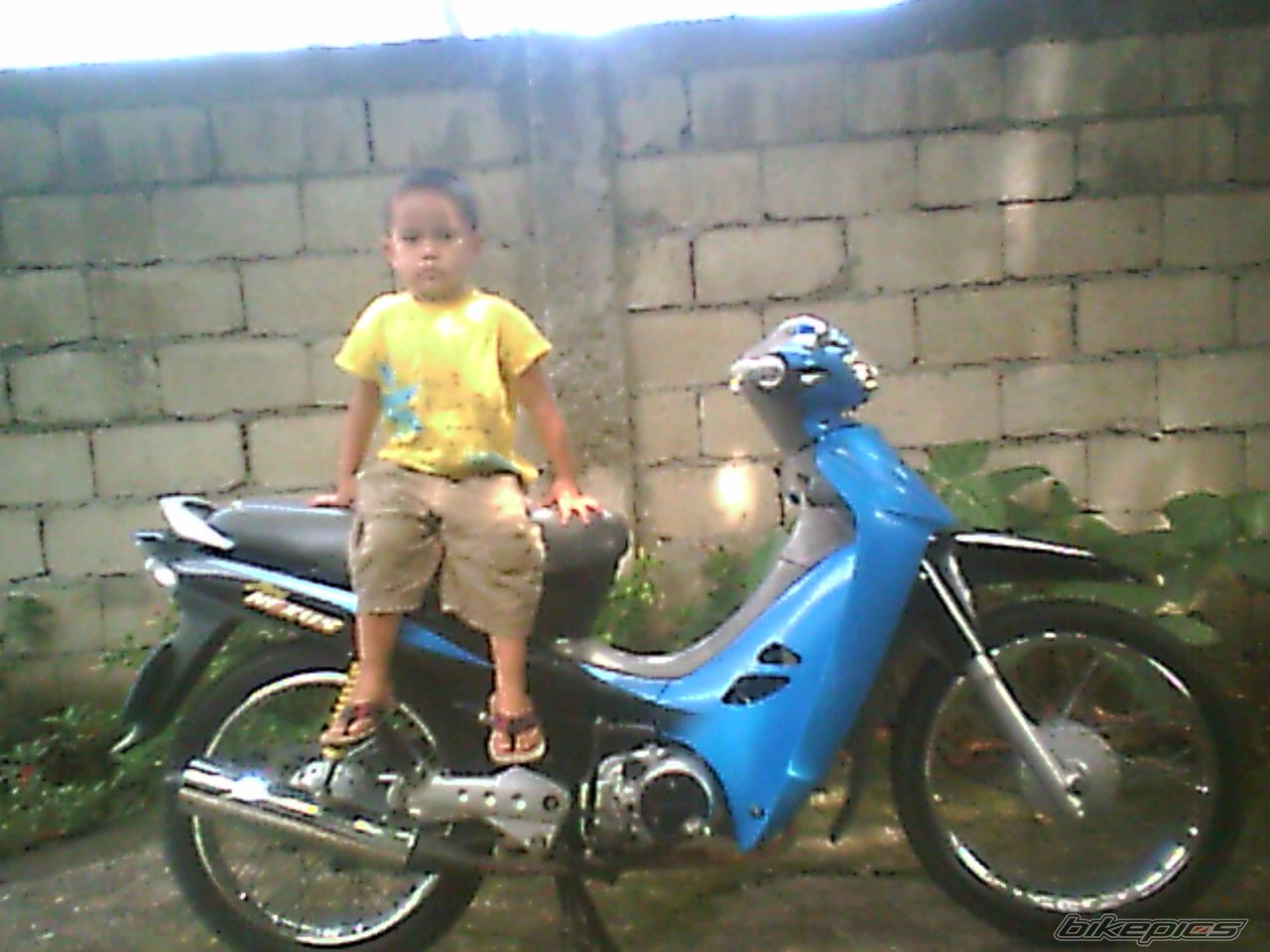 Photo 1288257