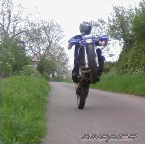 Photo 1288258