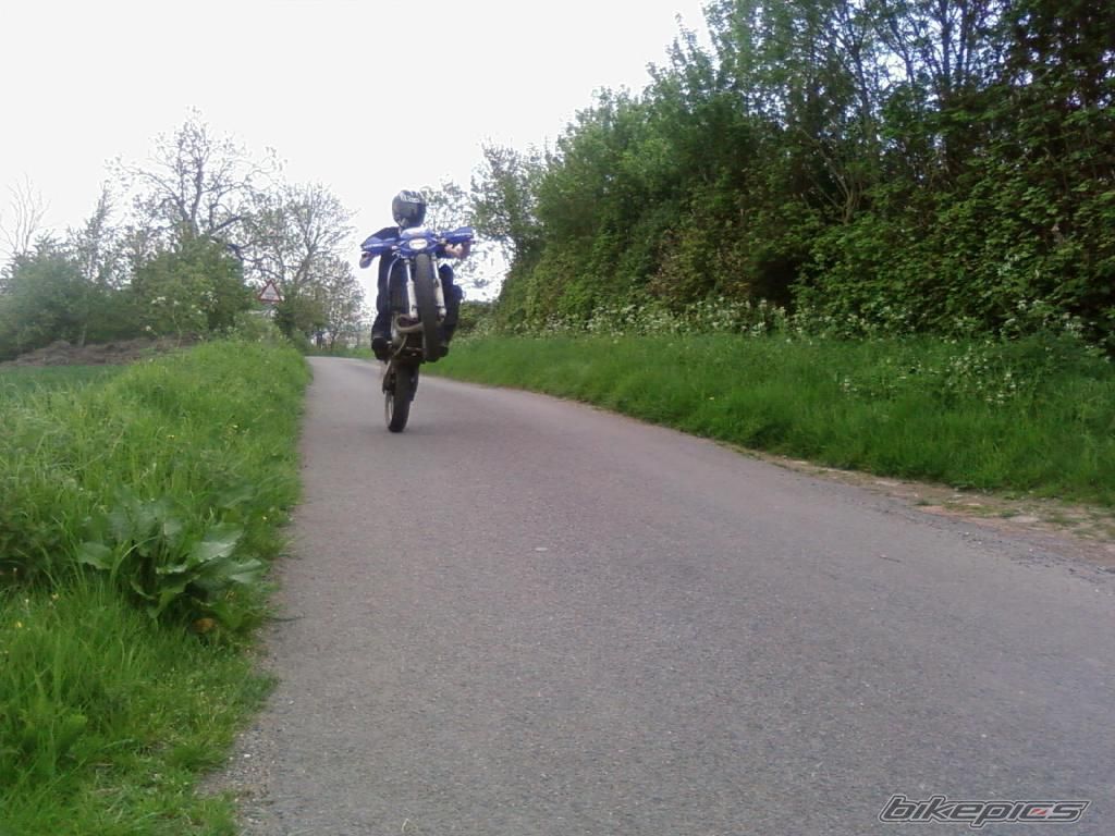 Photo 1288260