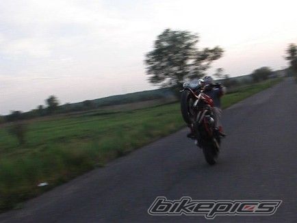 Photo 1288261