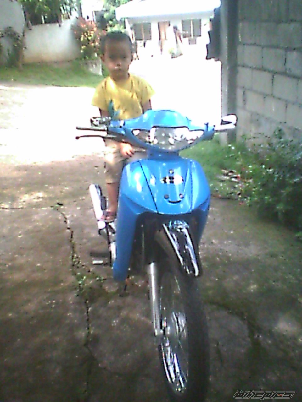 Photo 1288262