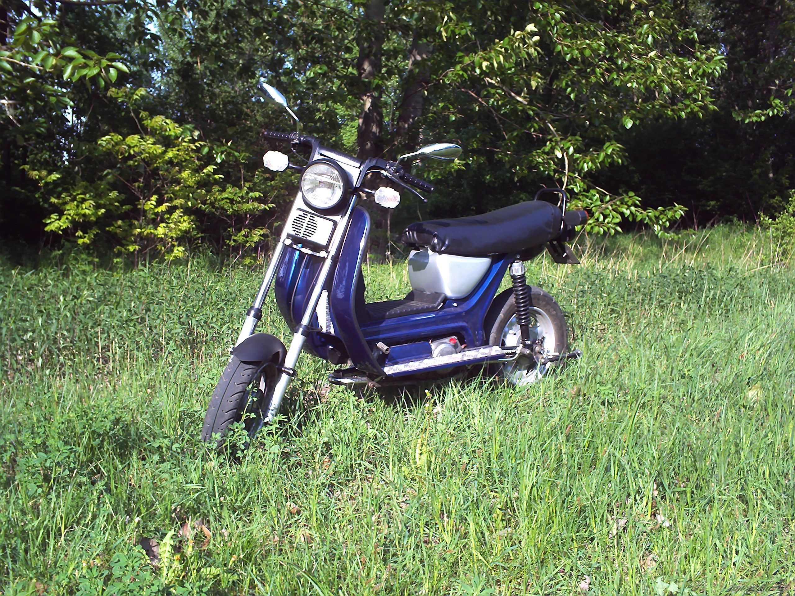 Photo 1288266