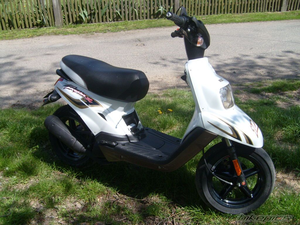 Photo 1288280