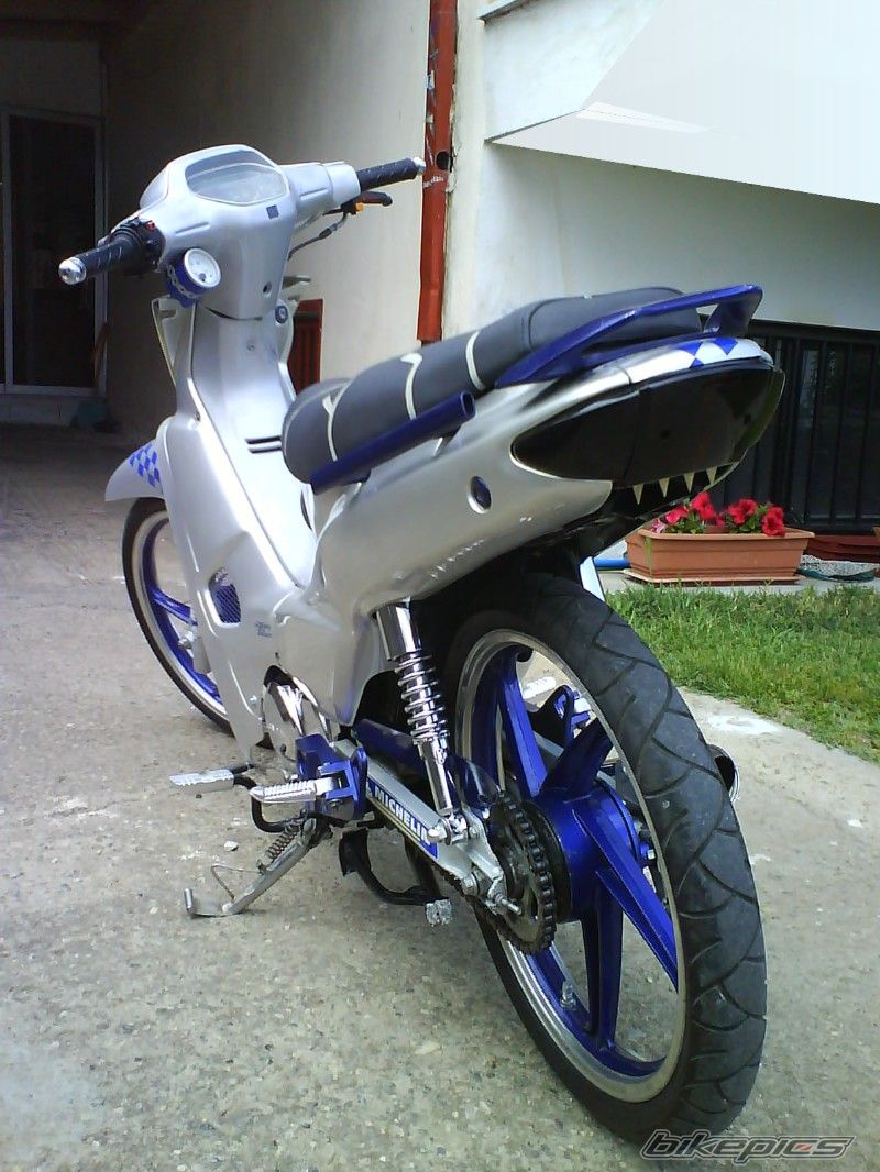 Photo 1288294