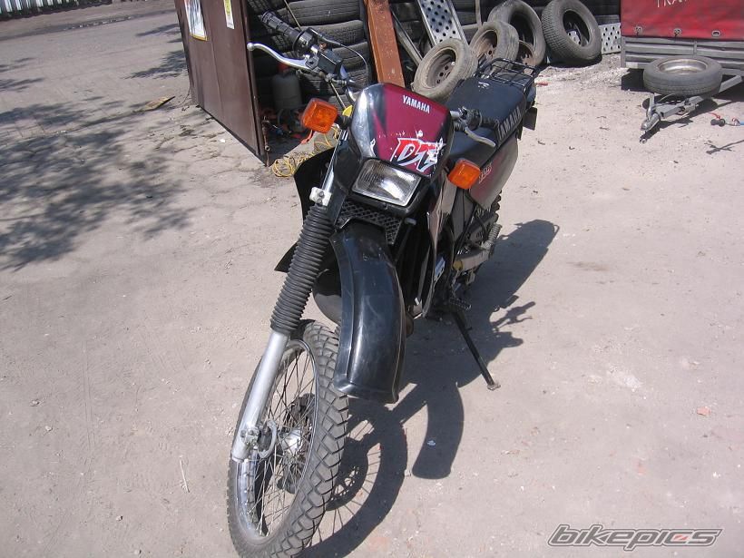 Photo 1288295