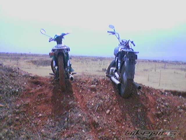 Photo 1288309