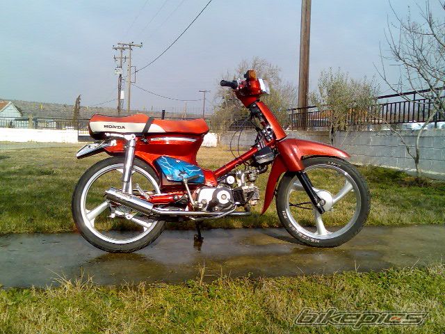 Photo 1288323