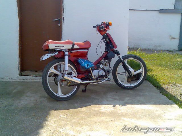 Photo 1288324