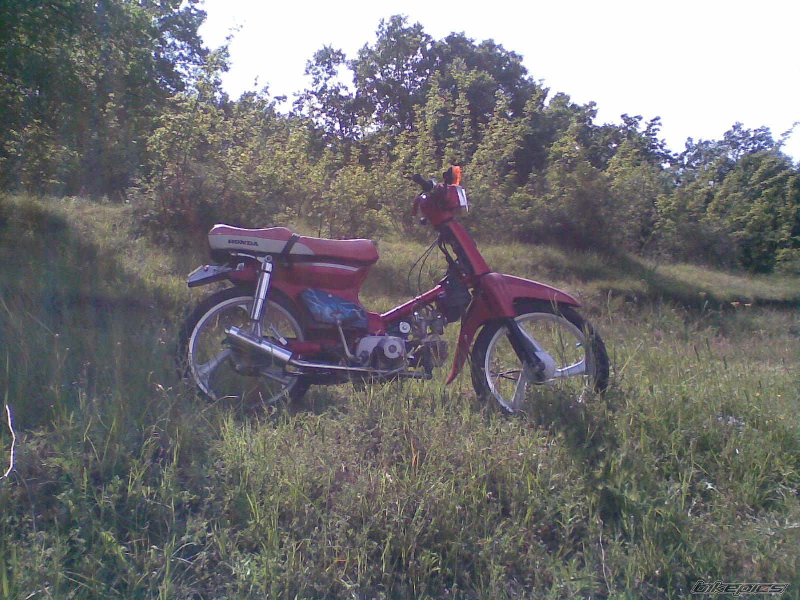 Photo 1288327