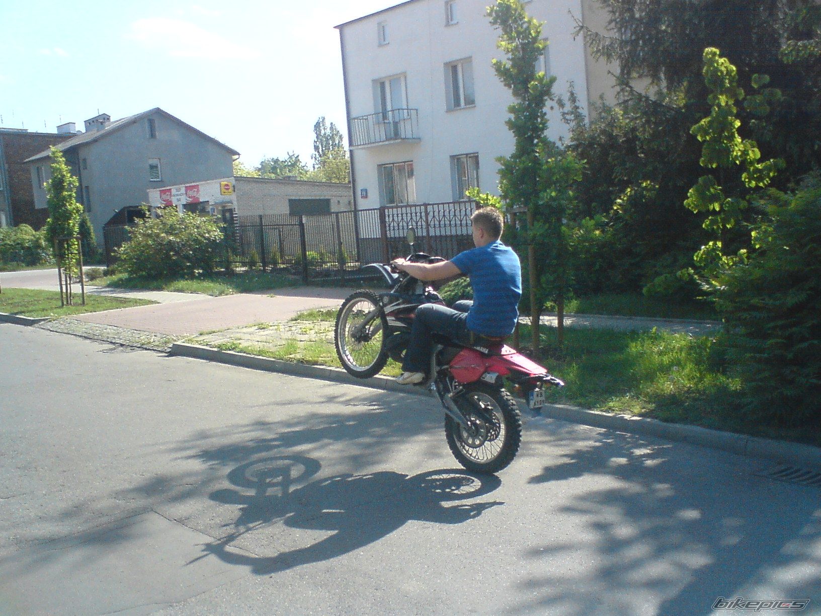 Photo 1288359