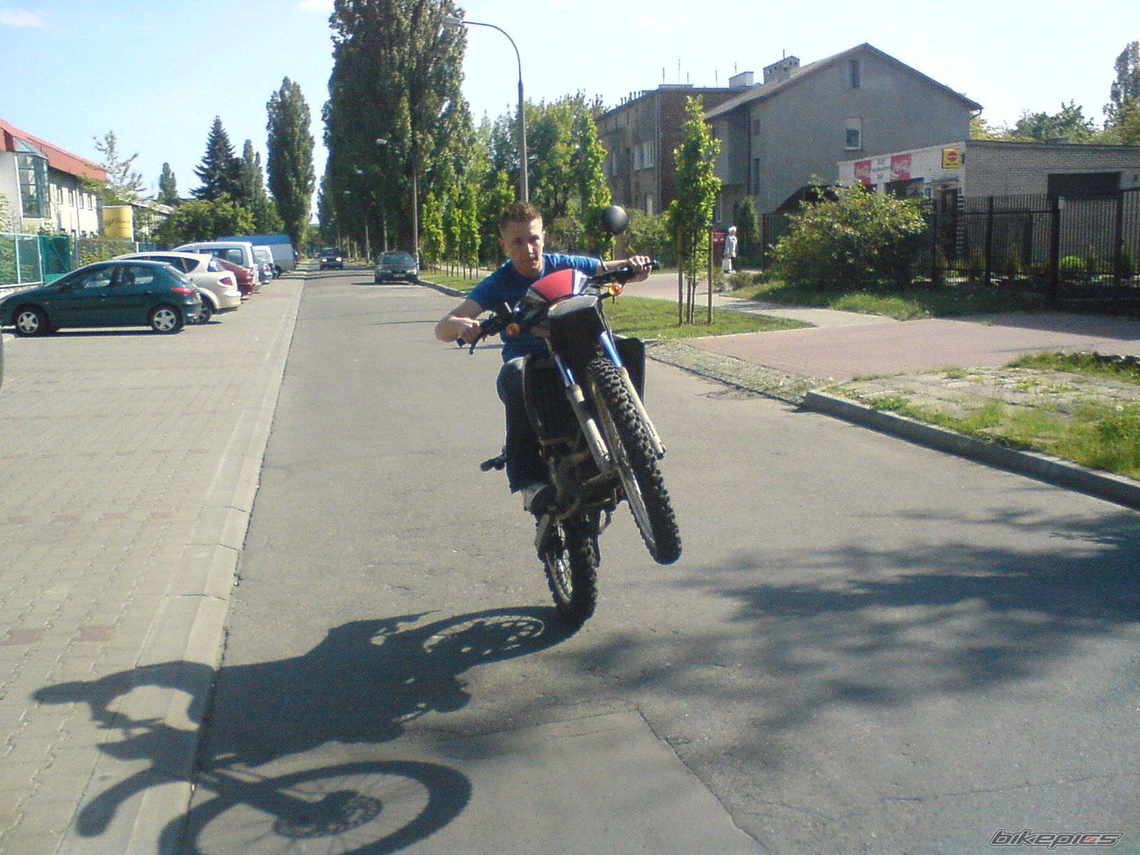 Photo 1288362