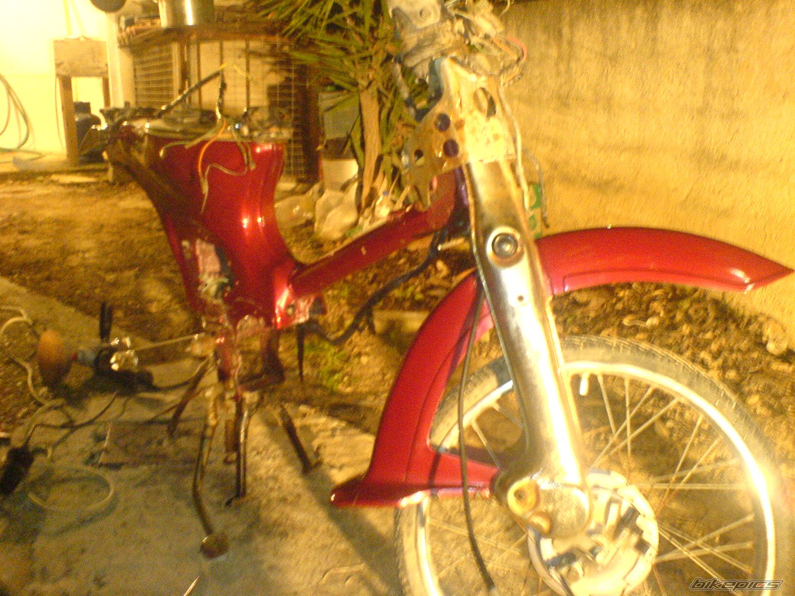Photo 1288371