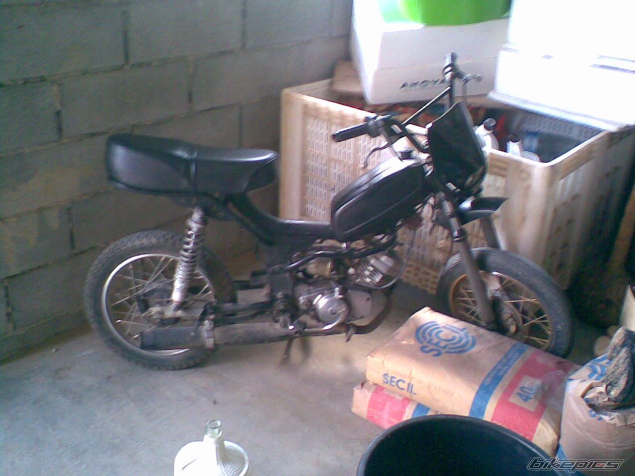 Photo 1288384
