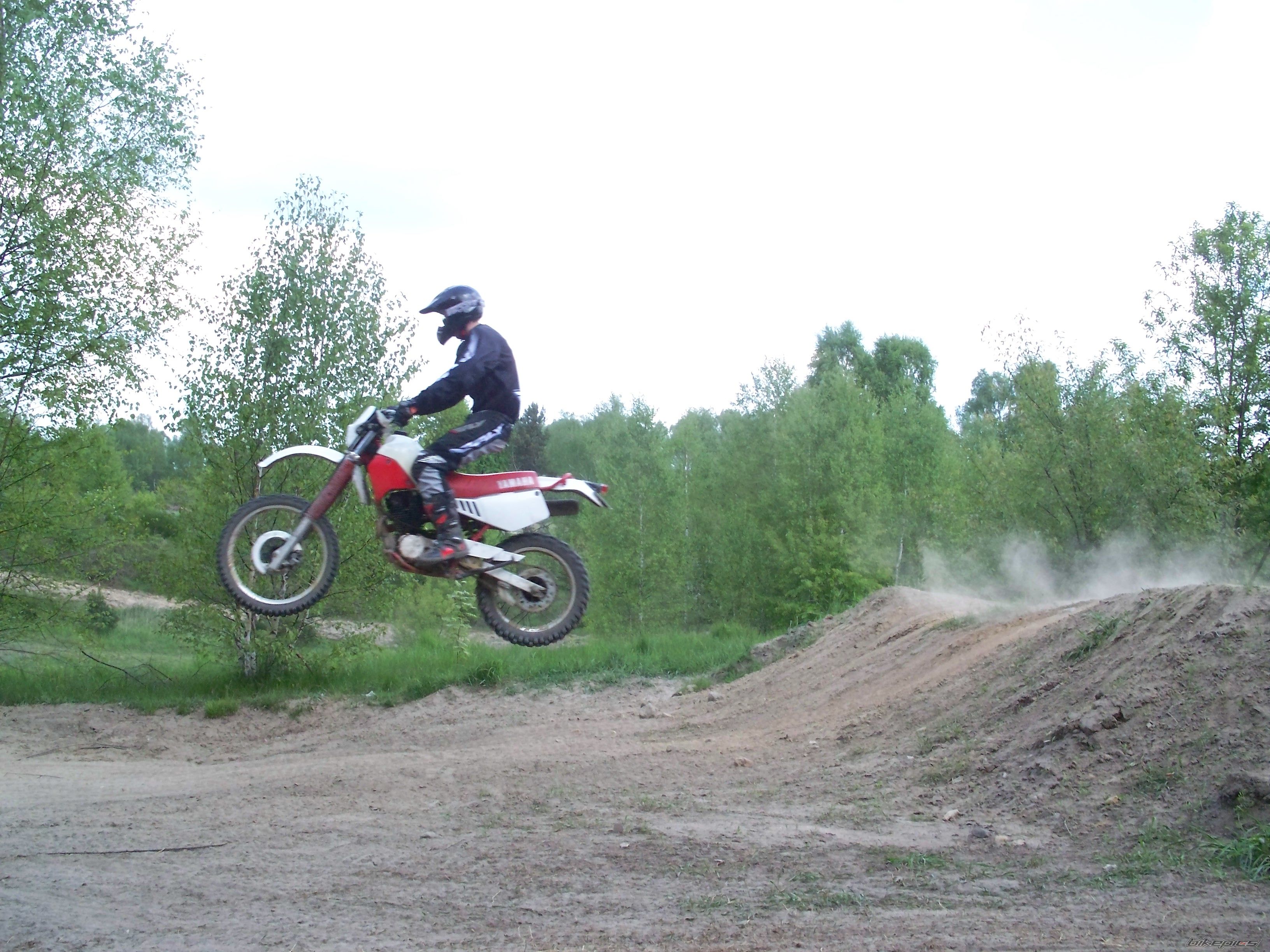 Photo 1288411