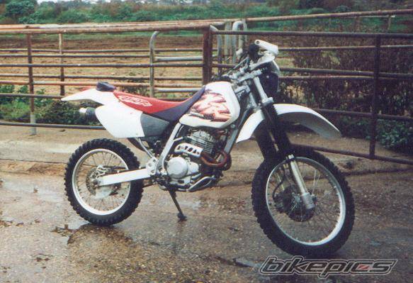 Photo 12885