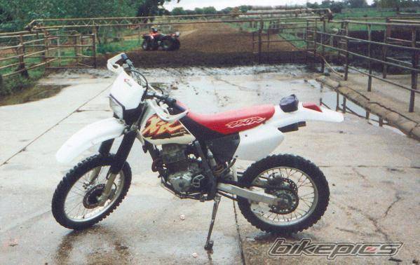 Photo 12886