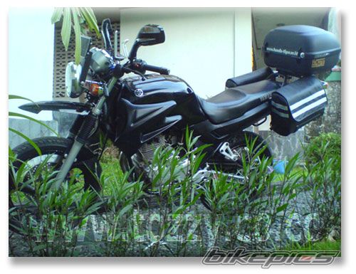 Photo 1288603
