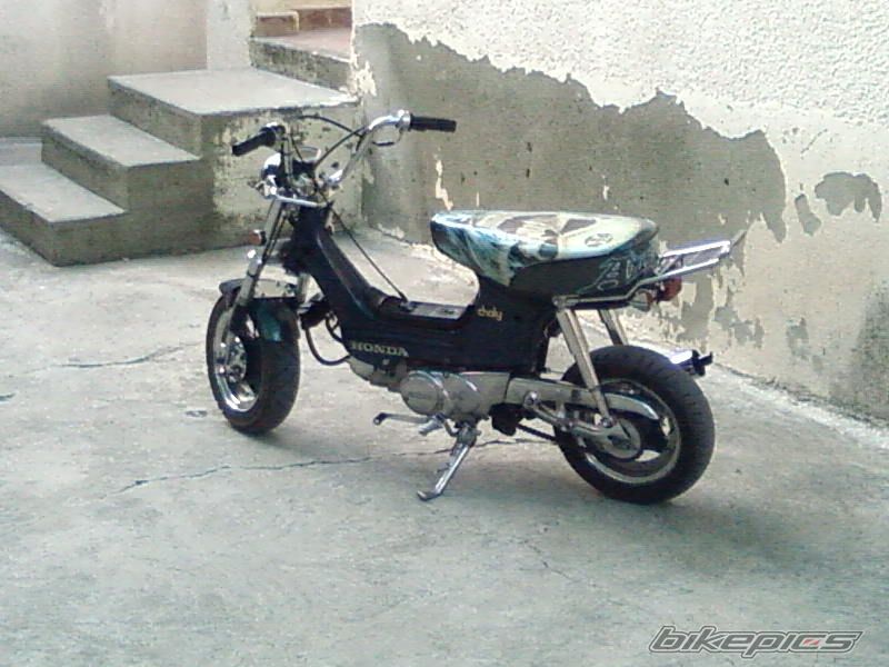 Photo 1288614