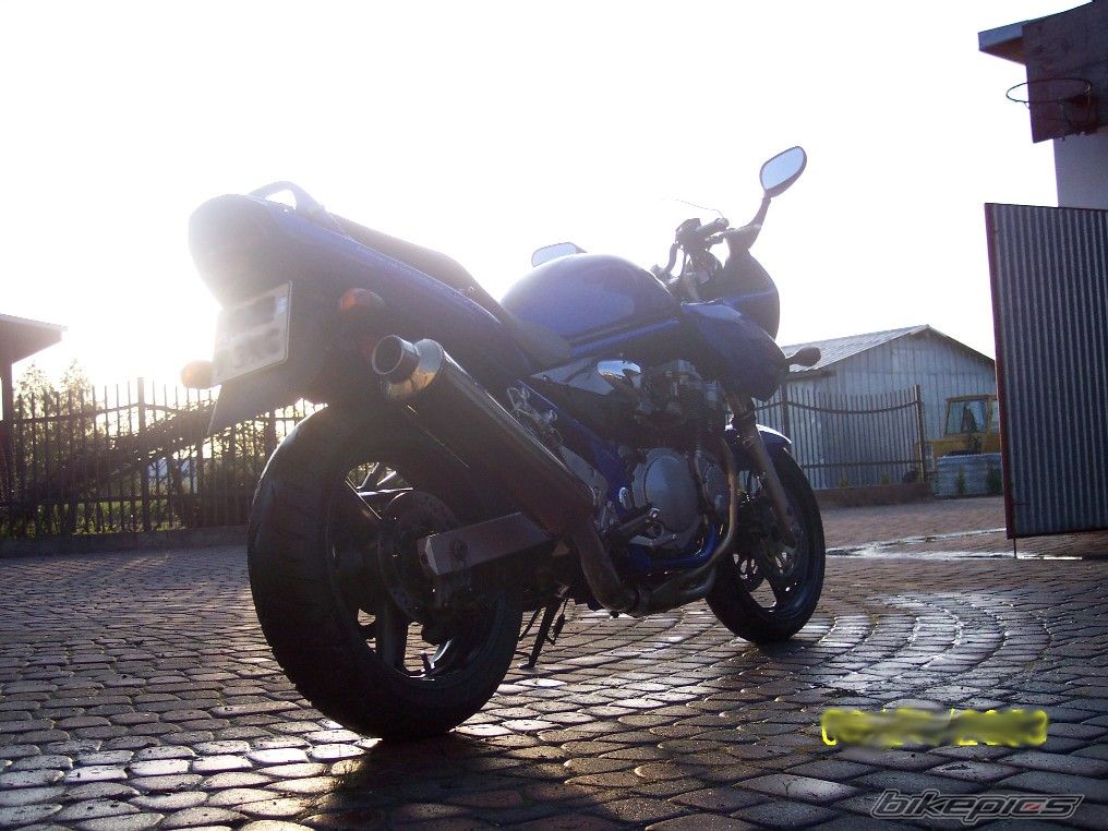 Photo 1288647