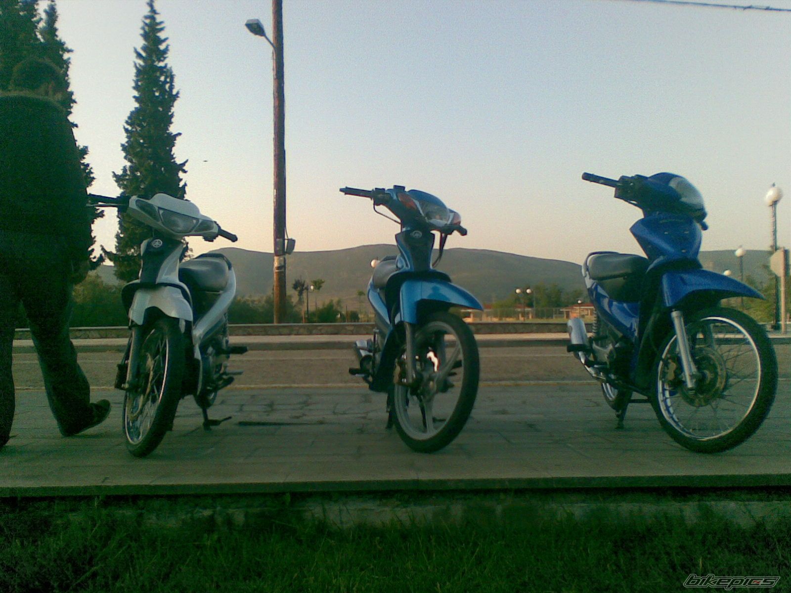 Photo 1288649