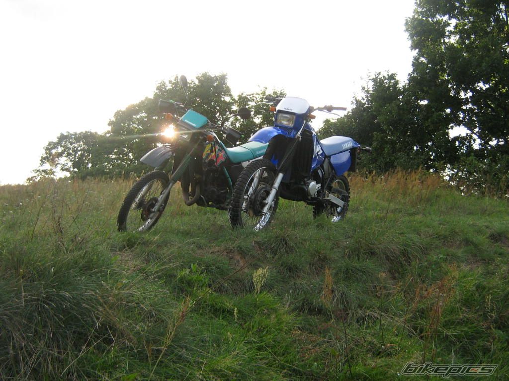Bike Photo 1288673