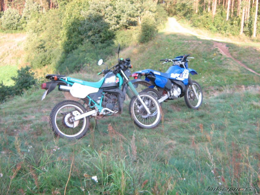 Bike Photo 1288675