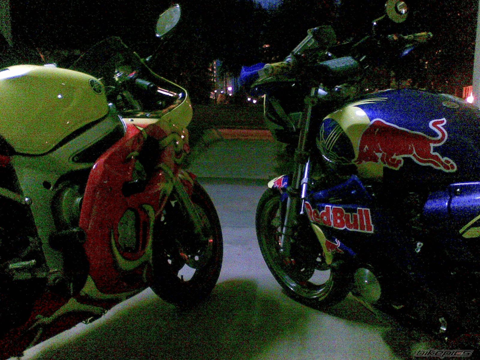Photo 1288688