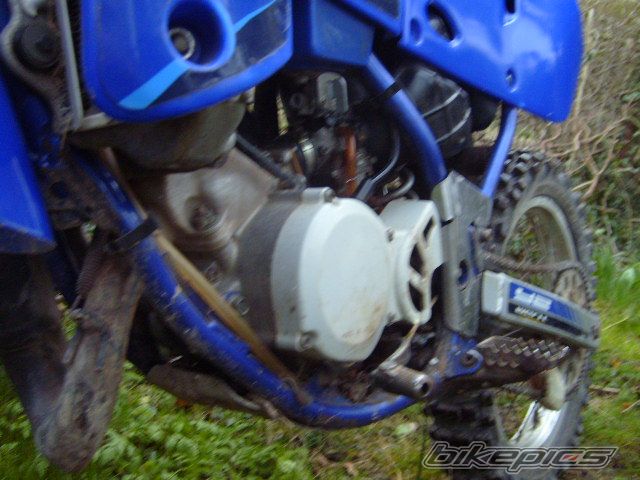 Photo 1288725