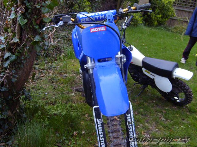 Photo 1288726