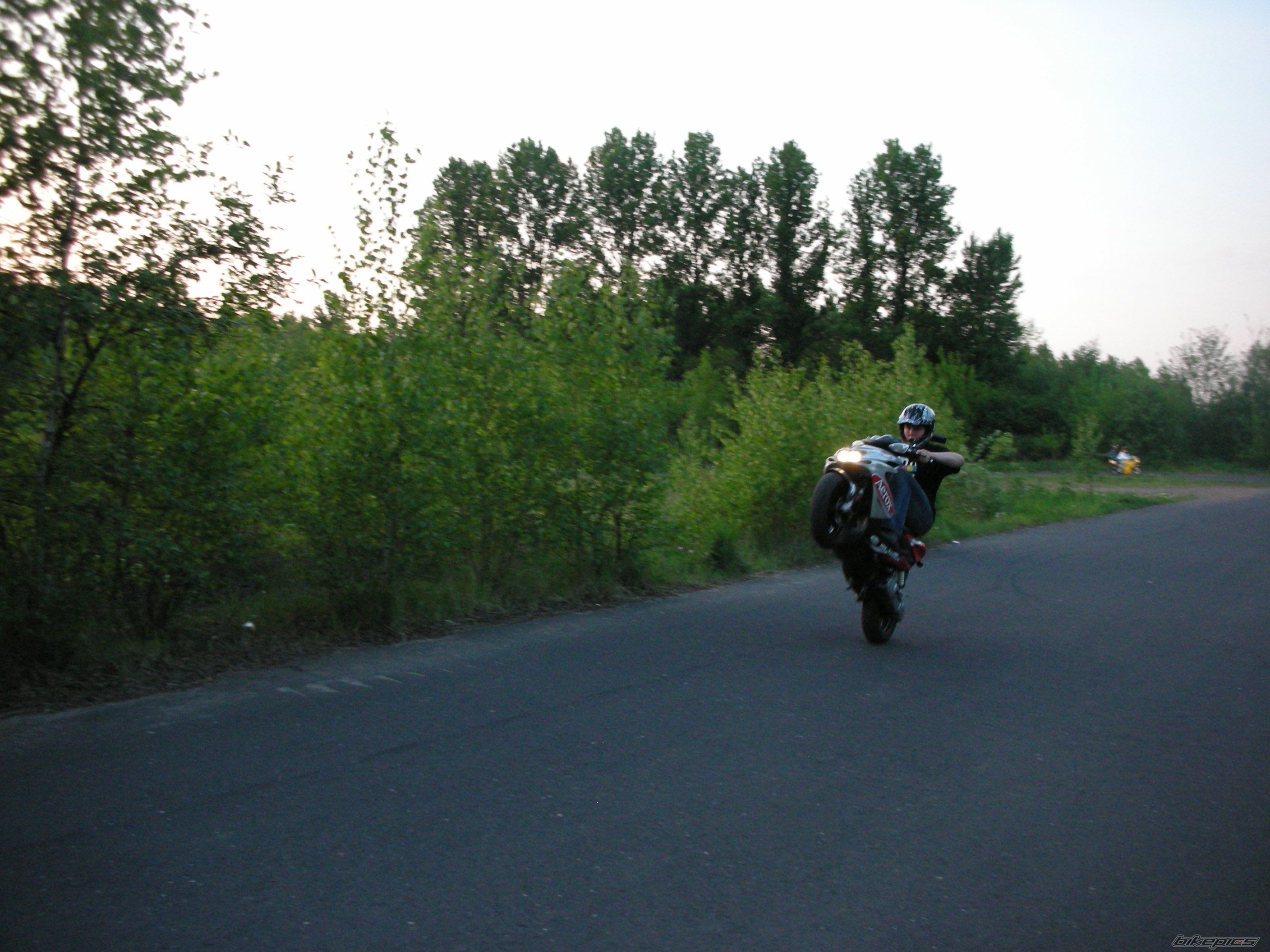 Photo 1288783