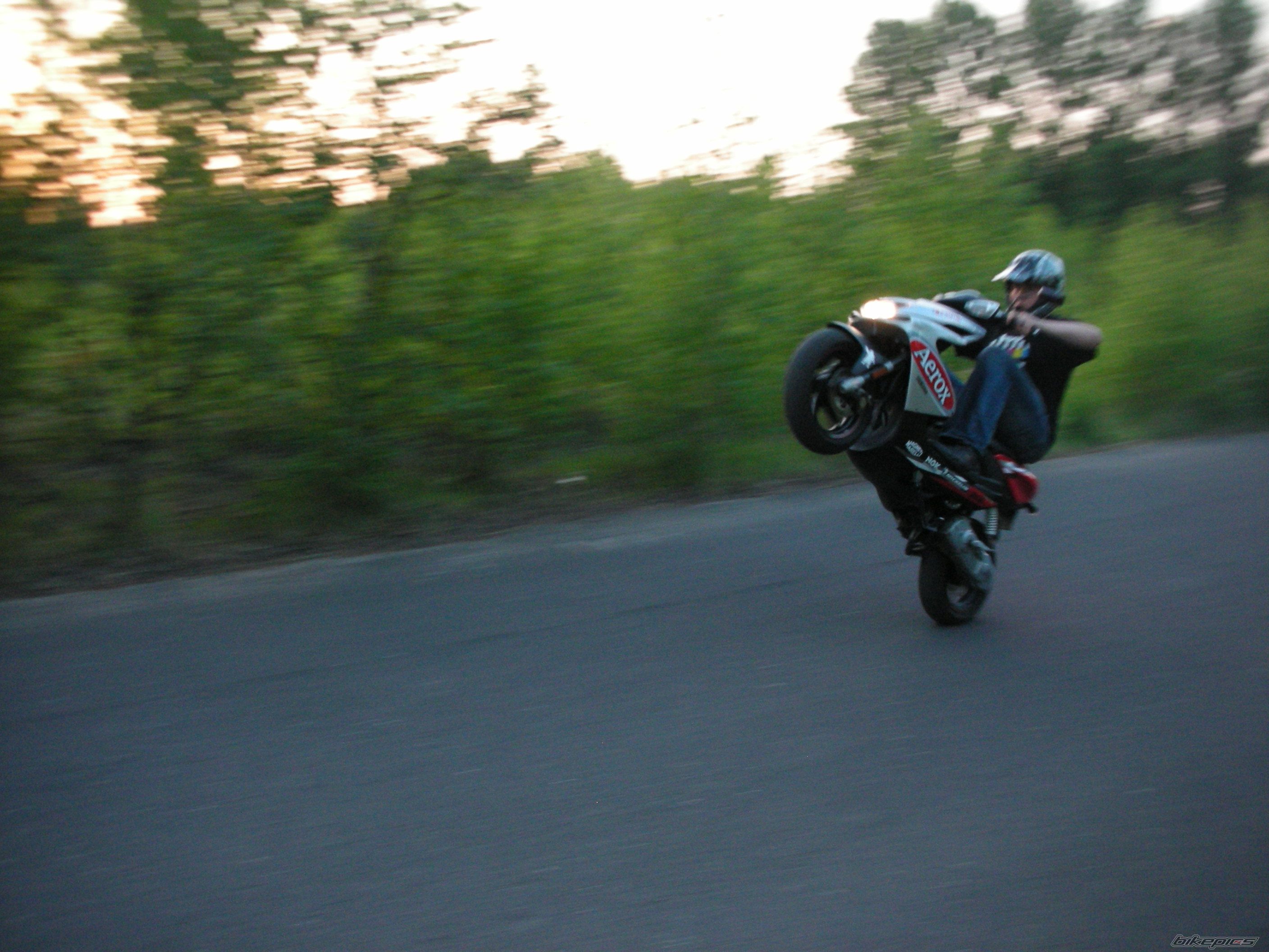 Photo 1288792