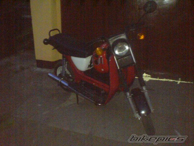 Photo 1288799