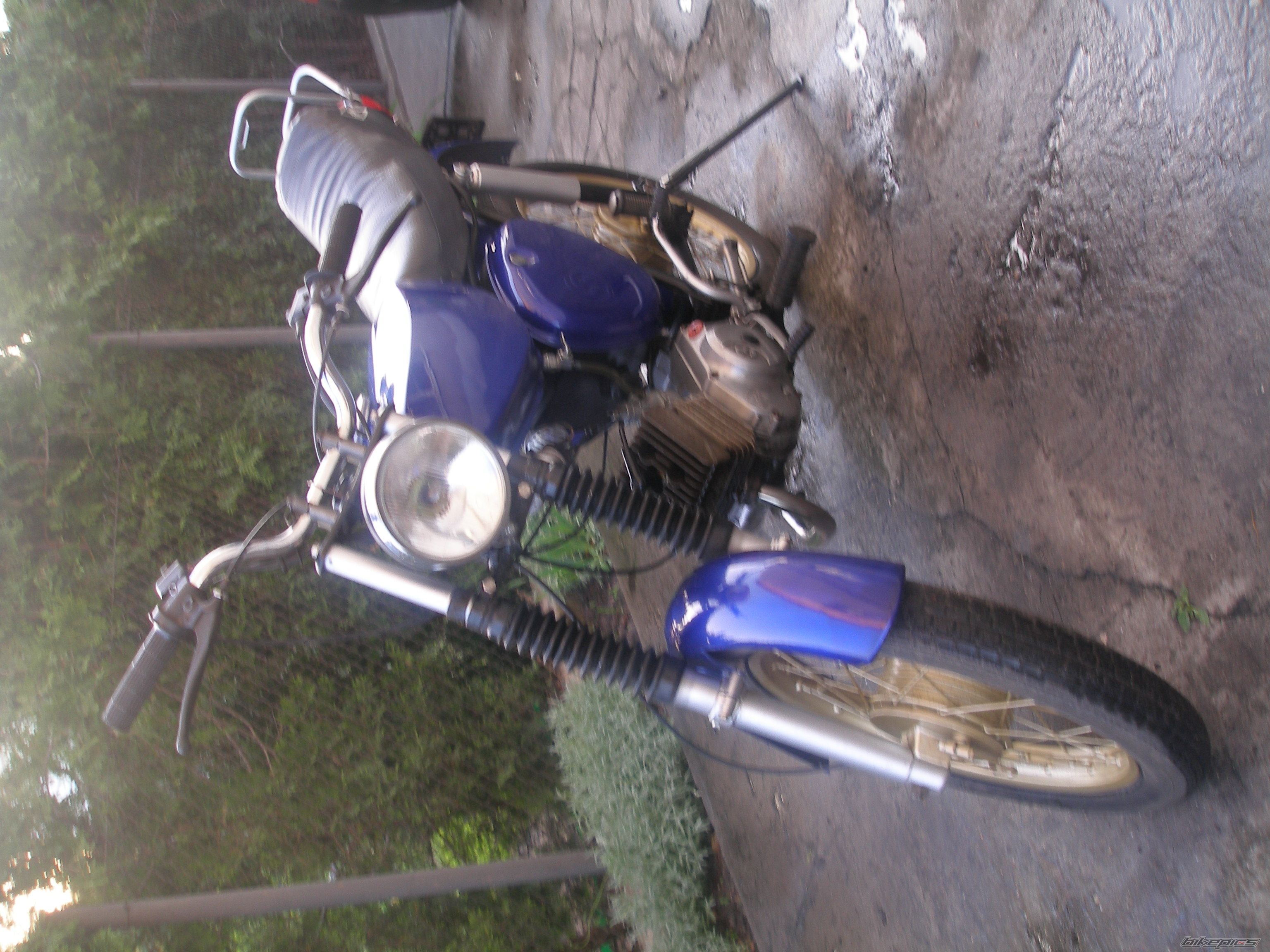 Photo 1288806