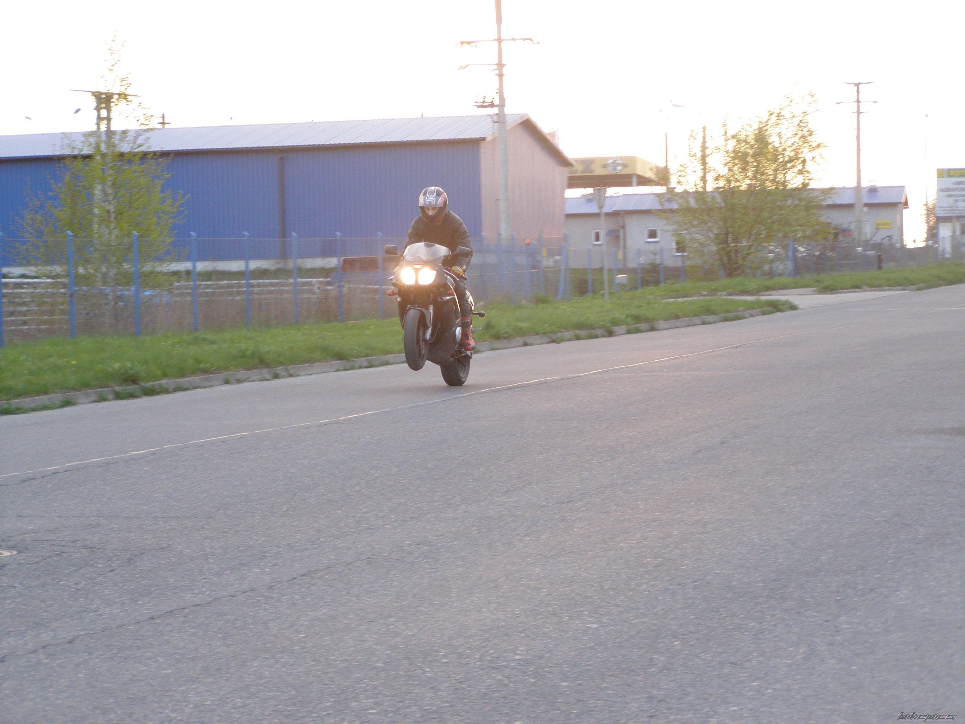 Photo 1288821