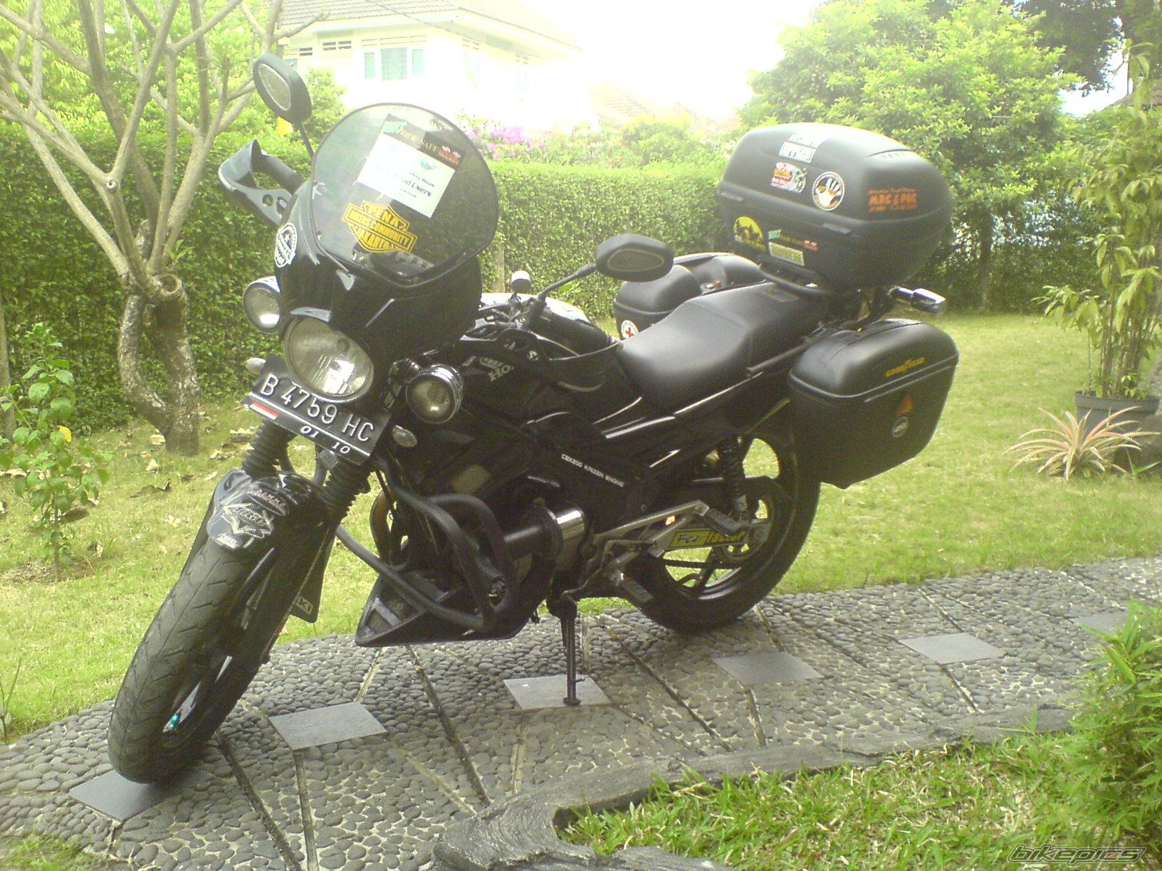 Photo 1288831