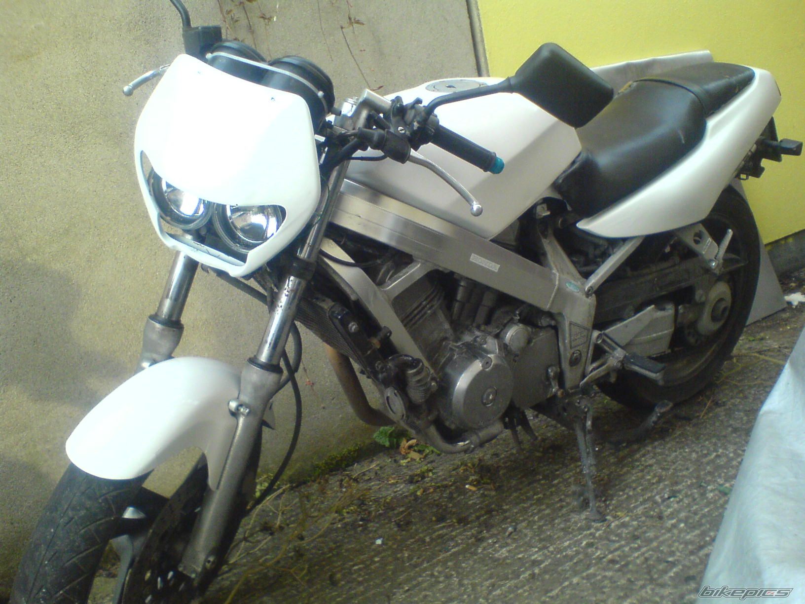 Photo 1288872