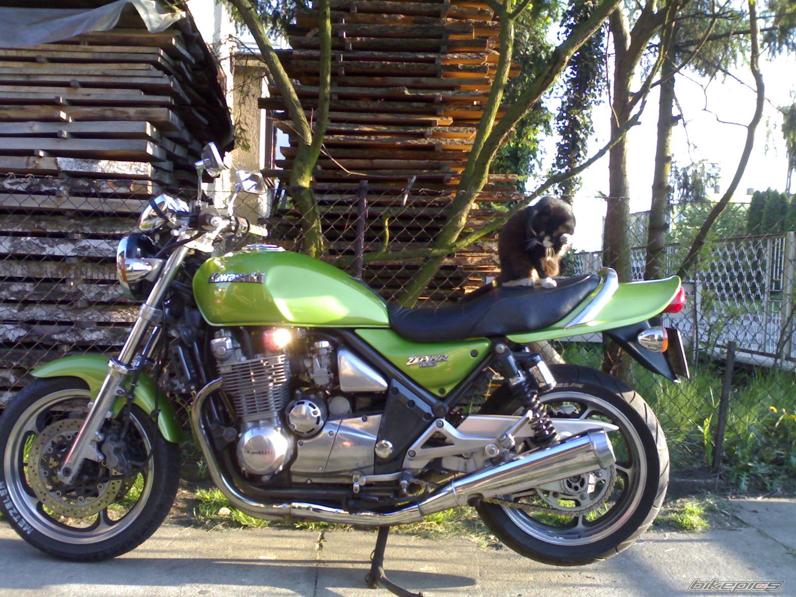 Bike Photo 1288909
