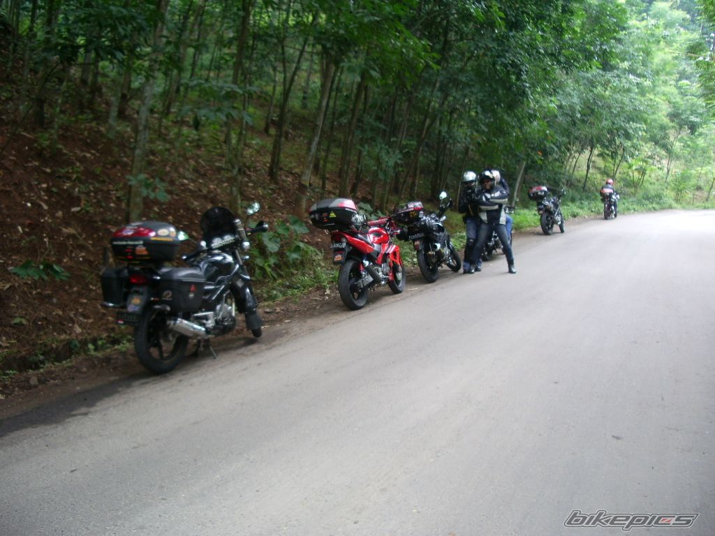 Photo 1288919