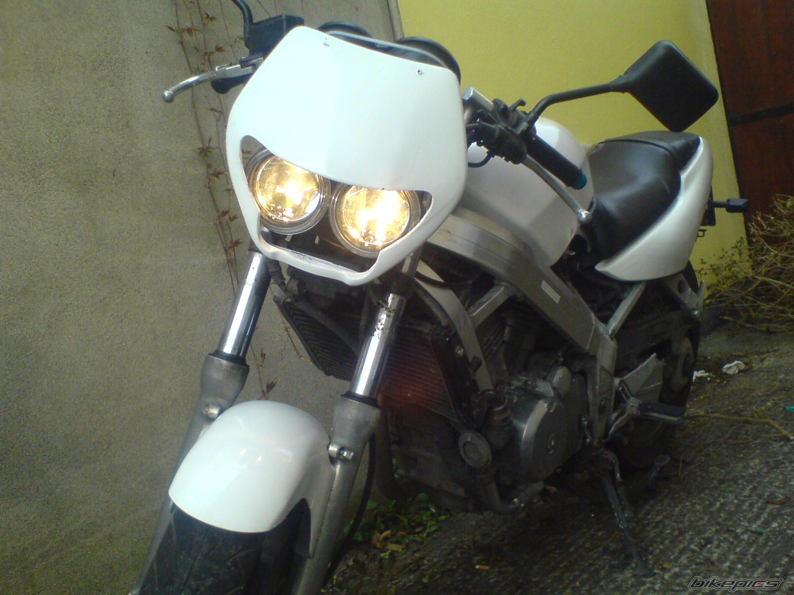 Photo 1288925